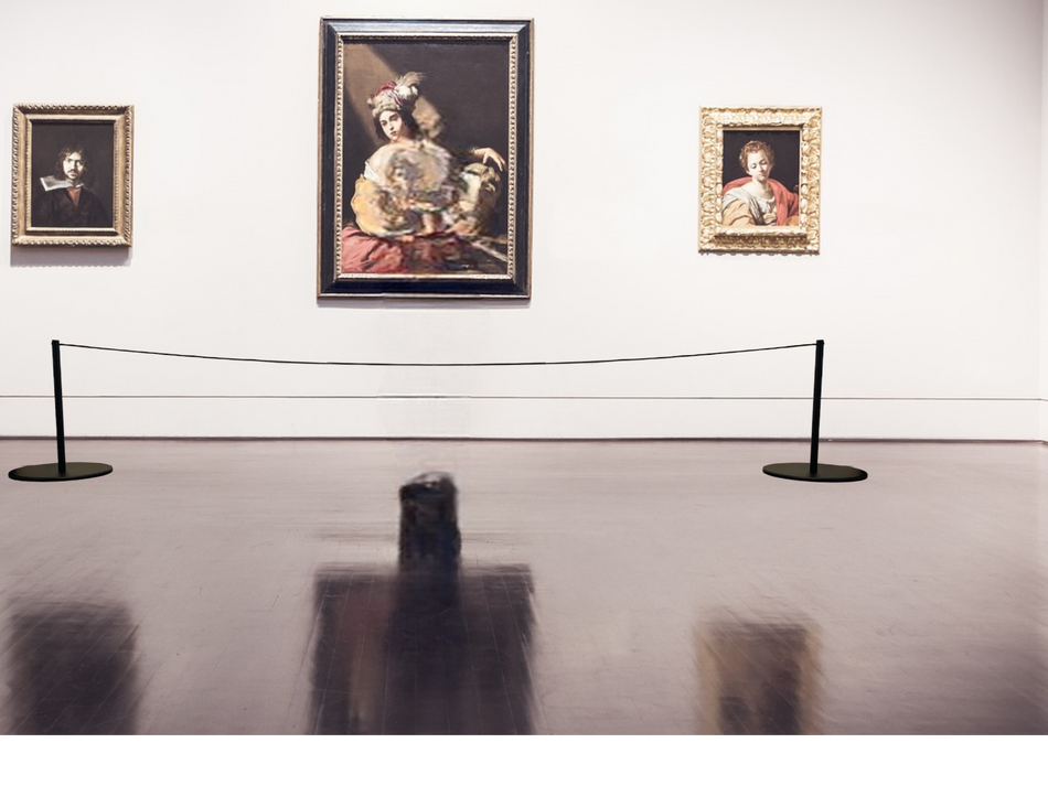 FlexiBarrier Stanchion -Museum